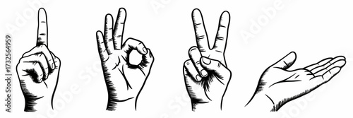 An array of hand gestures showcases different signs for communication, highlighting the importance of non-verbal expression in understanding and interacting with others.