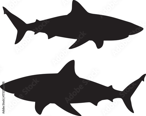 Two black shark silhouettes swimming in opposite directions silhouette