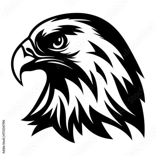 Striking black and white eagle head illustration symbolizing strength and freedom