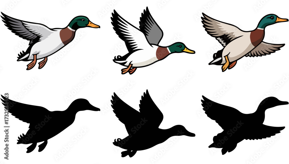 Obraz premium Duck Flying Vector Set – Colorful hand-drawn Clip Art and Silhouette Bird Illustrations for Wildlife, Nature, and Outdoor Design