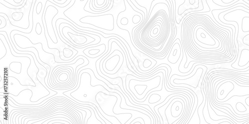 Topography background. Vector banner. Topography map background. Vector geographic contour map. Background of the topographic map. Topographic map lines, contour background. 