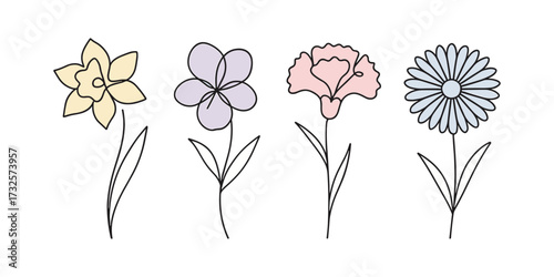Spring flowers. Minimalist floral illustrations