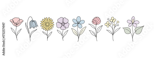 Line art flowers. Minimalist floral illustrations