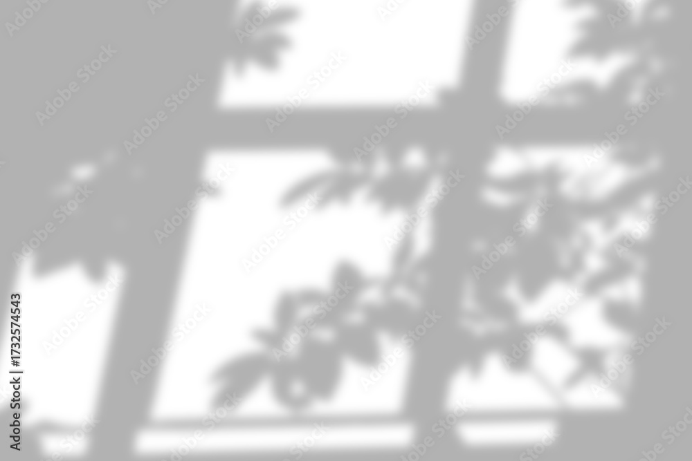 Obraz premium Window frame casting leaf shadow on white background.