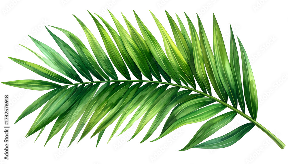 Obraz premium Detailed watercolor of a single palm frond with shades of green on a black background