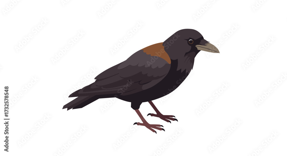 Obraz premium Stylized flat design crow on white background