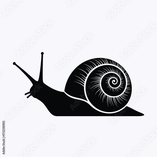 A striking black and white image of a snail beautifully rendered silhouette