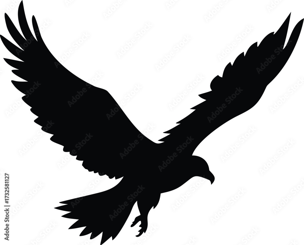 Obraz premium a black eagle is flying in the sky