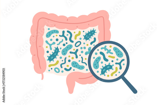 Gut microbiome concept with healthy probiotic bacteria. Human intestine and digestive system with microbiota flora. Microbiology science medical checkup and analysis vector.