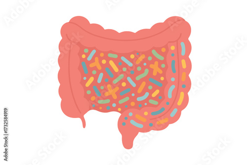 Gut health concept. Human digestive system with healthy probiotic bacteria. Vector illustration of an abstract internal organ with microbiome inside. Intestine flat cartoon design.