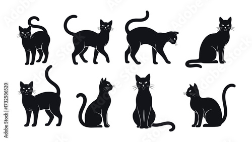 Black Cat Collection: A set of sophisticated black cat silhouettes, offering versatile design elements for any project needs, each one captures a moment in cat life. 