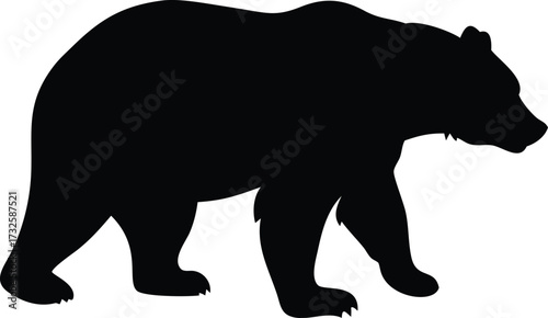 bear vector silhouette