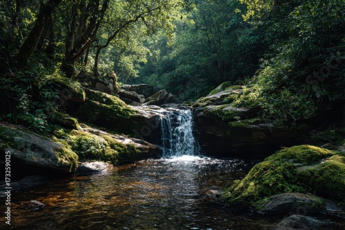 Waterfall with rocks in sunlit forest used for travel and nature content
