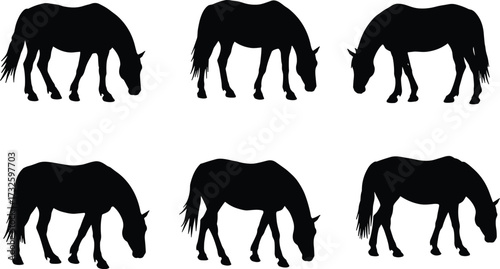 Seamless pattern of grazing horse silhouettes in black vector design, farm animal illustration for nature, wildlife, ranch, countryside themes