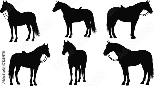 Silhouette sequence of running horse showing dynamic motion, galloping stages, animal locomotion, equestrian speed, black vector illustration for design