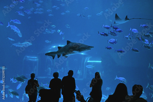 Aquarium in Gran Canaria, Poema del Mar, with sharks and manta rays observed in one of the world’s largest curved viewing windows.