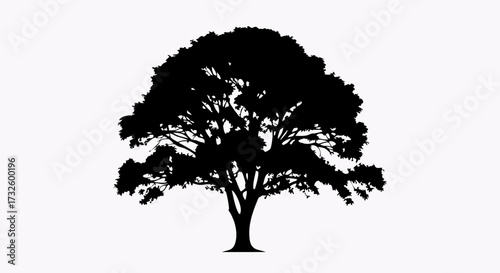 Silhouette of a large, mature deciduous tree with a broad canopy against a plain white background, symbolizing nature and growth