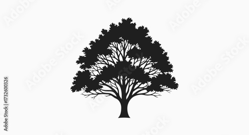 A Silhouette of a Large Deciduous Tree with a Spreading Canopy of Branches and Leaves on a White Background, Symbolizing Growth and Nature