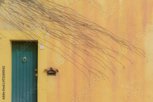 La porta verde