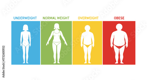 Visual representation of human body mass index categories underweight, normal weight, overweight, and obese, illustrating health classifications