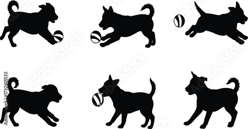 Vector illustration of multiple dog breeds with ball, playful pet activity, domestic animals, canine friendship, training, exercise, companionship, lifestyle design