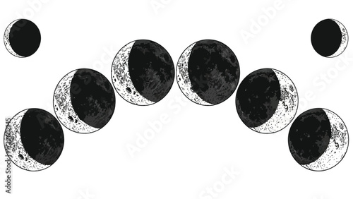 A black and white scientific illustration showing the different phases of the moon arranged in a celestial arc against a white background.