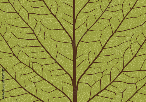 Exploring intricate leaf patterns in nature botanical environment natural viewpoint