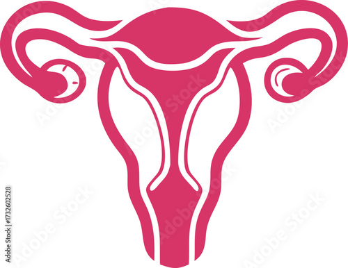female reproduction system anatomy silhouette 
