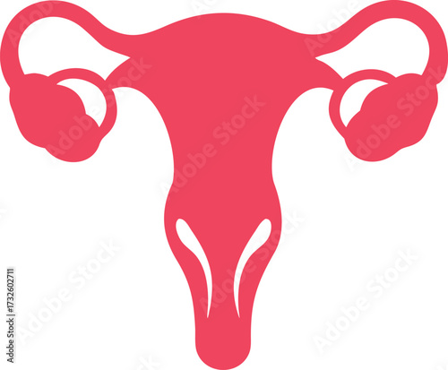 female reproduction system anatomy silhouette 