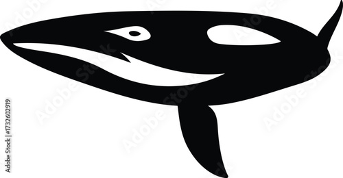 Orca whale silhouette with smiling face, Killer whale silhouette black vector