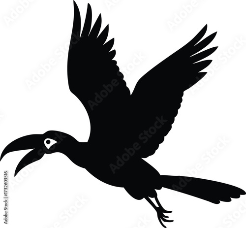 flying hornbill bird silhouette 