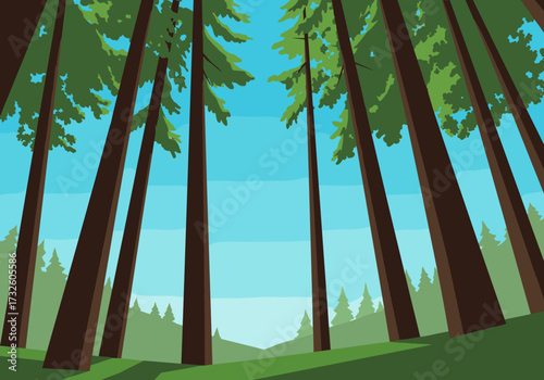 Exploring the serenity of tall pines in a vibrant forest landscape under a clear blue sky