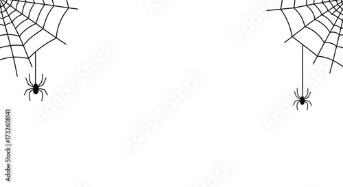 Two Black Spiders Hanging from Spiderwebs in Corners on White Background with Copy Space