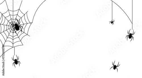 Halloween Spider Web and Hanging Spiders Vector Border on White Background