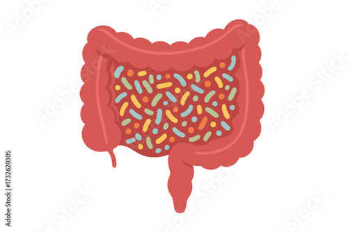 Healthy gut microbiome concept. Human intestine with probiotic bacteria. Digestive system, colon, good flora. Medical biology science vector illustration. Digestion health.
