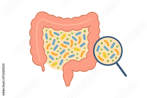 Gut microbiome concept. Human intestine with healthy probiotic bacteria. Microbiota and gut flora medical checkup. Flat abstract medicine illustration for digestive system.