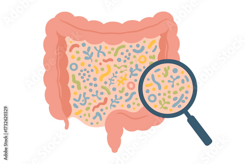 Gut microbiome concept. Intestine with microbiota and healthy probiotic bacteria. Flat abstract medicine illustration for microbiology checkup, digestion flora, and gut health. Vector.