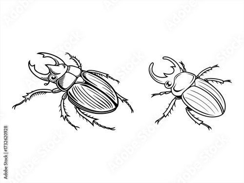 coloring page line art the beetle black vector bundle