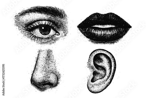 Retro photorealistic face parts collection with female eye, mouth, nose, and ear in grunge punk messy texture, trendy Y2K aesthetic vector illustration, vintage style design