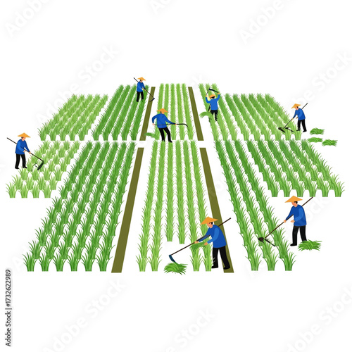 Illustration of farmers working in a rice field, harvesting crops with tools under the sun.