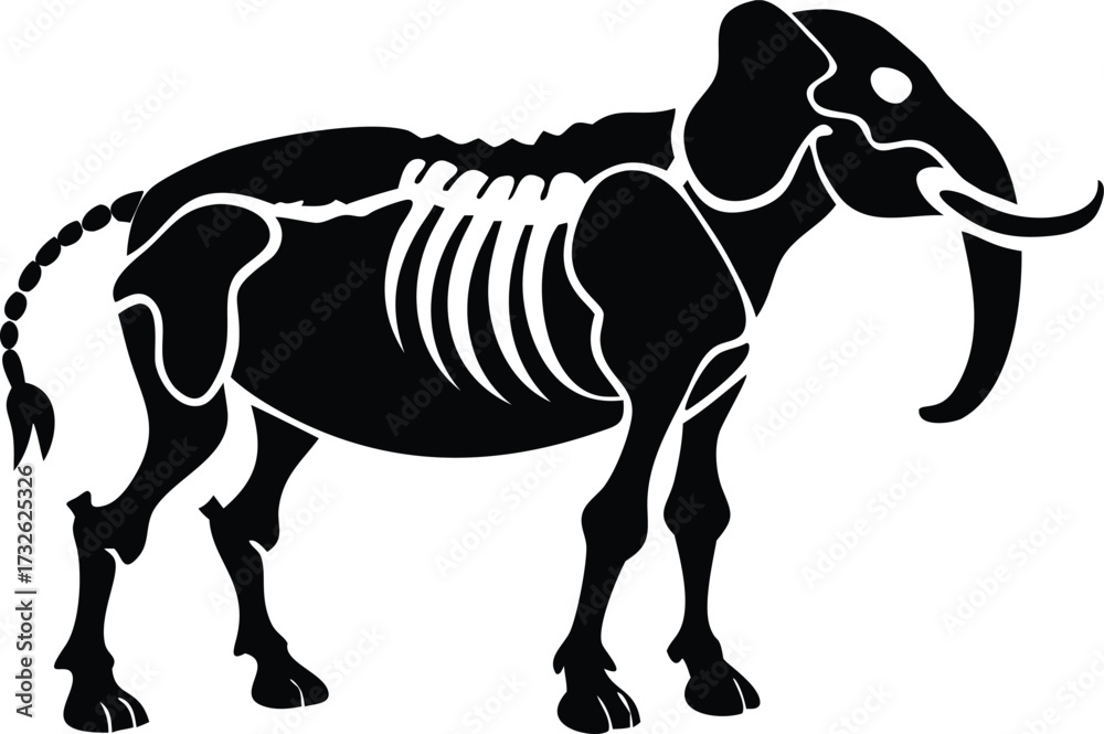 Fototapeta premium skeleton of elephant animal silhouette