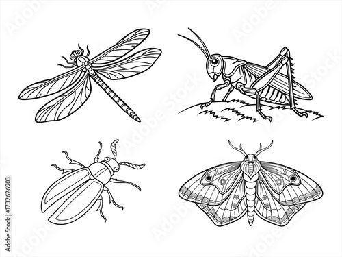 coloring page line art the butterfly black vector bundle