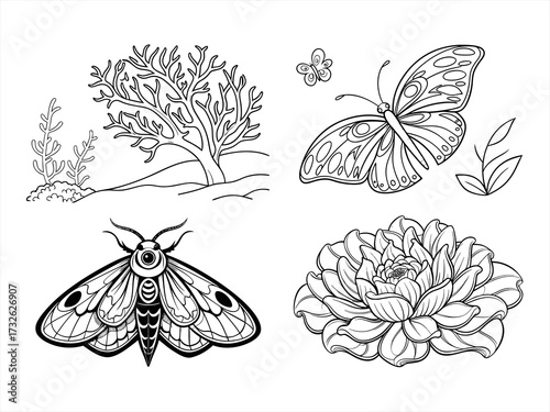 coloring page line art the butterfly black vector bundle
