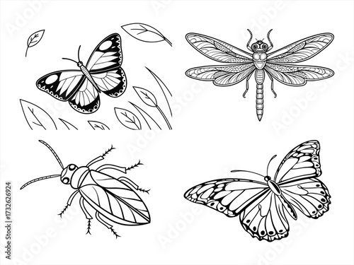 coloring page line art the butterfly black vector bundle