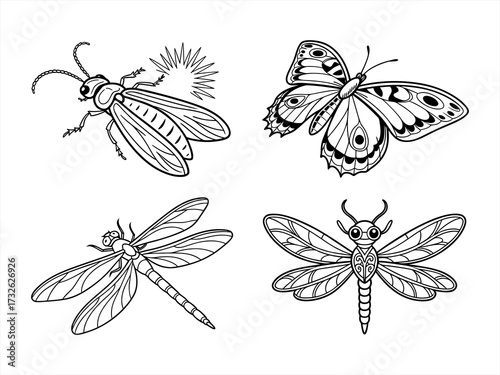coloring page line art the butterfly black vector bundle