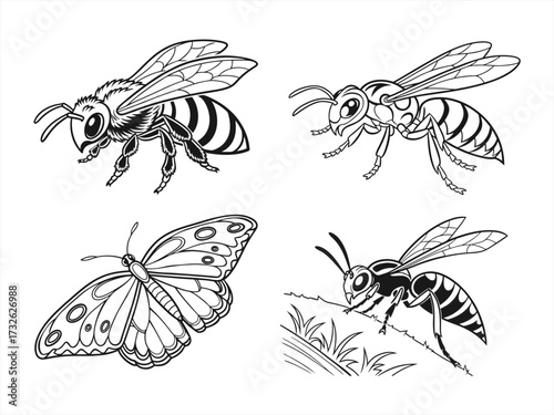coloring page line art the butterfly black vector bundle