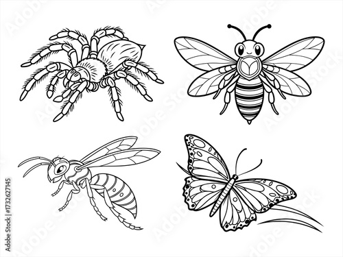 coloring page line art the butterfly black vector bundle