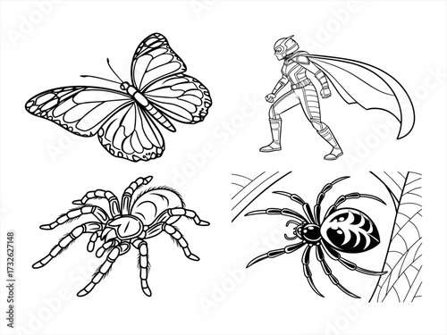 coloring page line art the butterfly black vector bundle