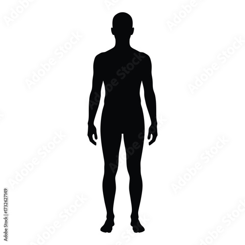 Human body silhouette full body standing profile male anatomy medical science graphic silhouette