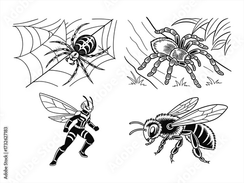 coloring page line art the butterfly black vector bundle
